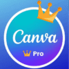 Nâng cấp Canva Pro chính chủ ( Add Team )